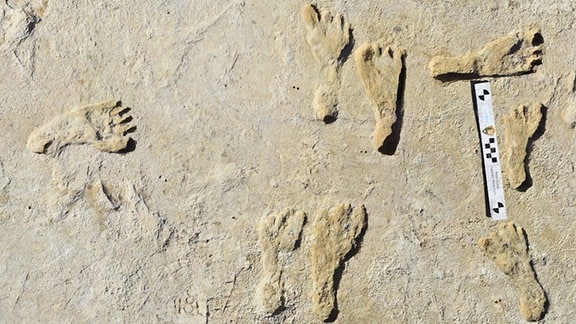VersteinerteFußspuren von Homo Sapiens im White-Sands-Nationalpark New Mexico USA