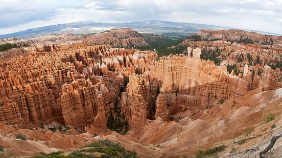 Verwittertes Gestein im Wide angle of a Bryce Canyon National Park Utah