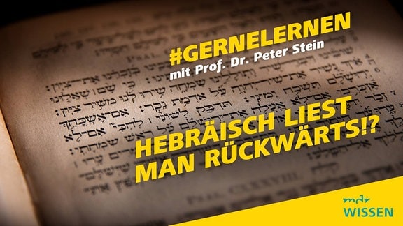 Altes Buch mit hebräischer Schrift. Beschriftung: #GERNELERNEN mit Prof. Dr. Peter Stein, HEBRÄISCH LIEST MAN RÜCKWÄRTS, Logo: MDR WISSEN