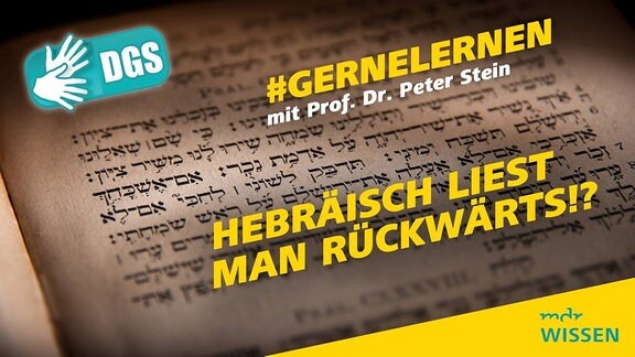 Altes Buch mit hebräischer Schrift. Beschriftung: #GERNELERNEN mit Prof. Dr. Peter Stein, HEBRÄISCH LIEST MAN RÜCKWÄRTS, Logos: MDR WISSEN, DGS