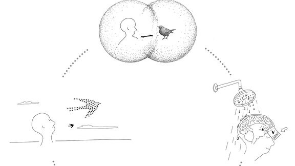 Die Grafik zeigt einen Kreis mit einem menschlichen Kopf in vier Situationen: rechts unter einer Dusche, unten beim Bau eines Vogelhäuschens, links beim Betrachten eines Vogelschwarms in Vogelform und oben beim Betrachten eines Vogels.