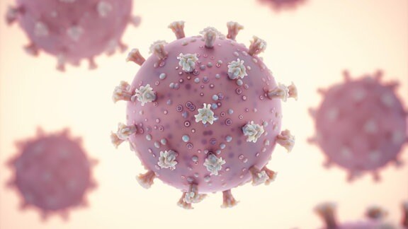 Corona Influenza Virus Animation