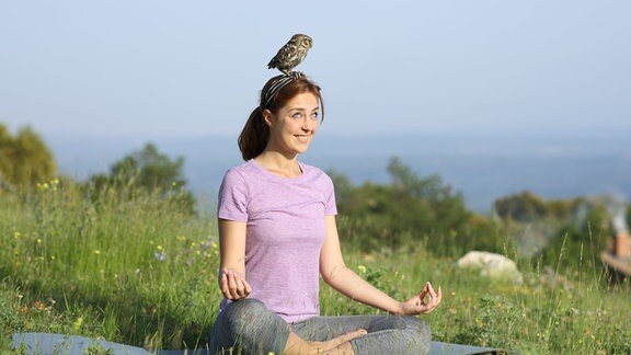 Ein Vogel sitzt auf dem Kopf einer Frau die Yoga macht.