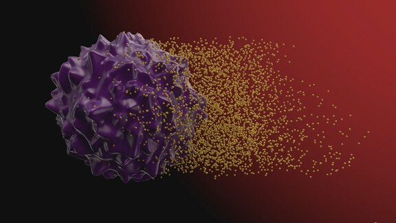 Grafisched Darstellung: Menschliche Zelle und SARS-CoV-2-Viren