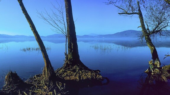 Morgenstimmung am Laacher See, im Hintergrund Maria Laach
