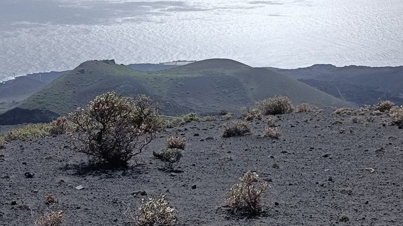 Blick aufs Meer: La Palma (Kanaren, Spanien), etwa 2,5 Jahre nach dem Ausbruch vom Tajogaite-Vulkan.