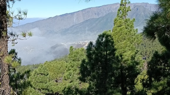 Der seltene Blick vom Süden auf den Tajogaite-Vulkan auf La Palma.