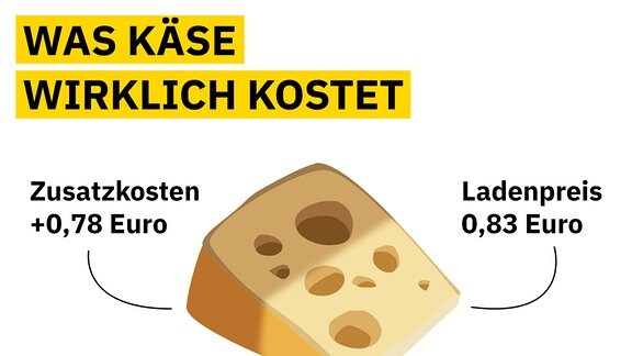 Zwei stilisierte Diagramme als Käsestücken zeigen, dass bei konventionellen Käse 95,94 Prozent und bei Bio-Käse 69 Prozent aufgeschlagen werden müssen. Damit kosten 100 Gramm Maasdamer 1,61 statt 83 Cent. Bei Bio sind es 1,85 statt 1,10 Euro.