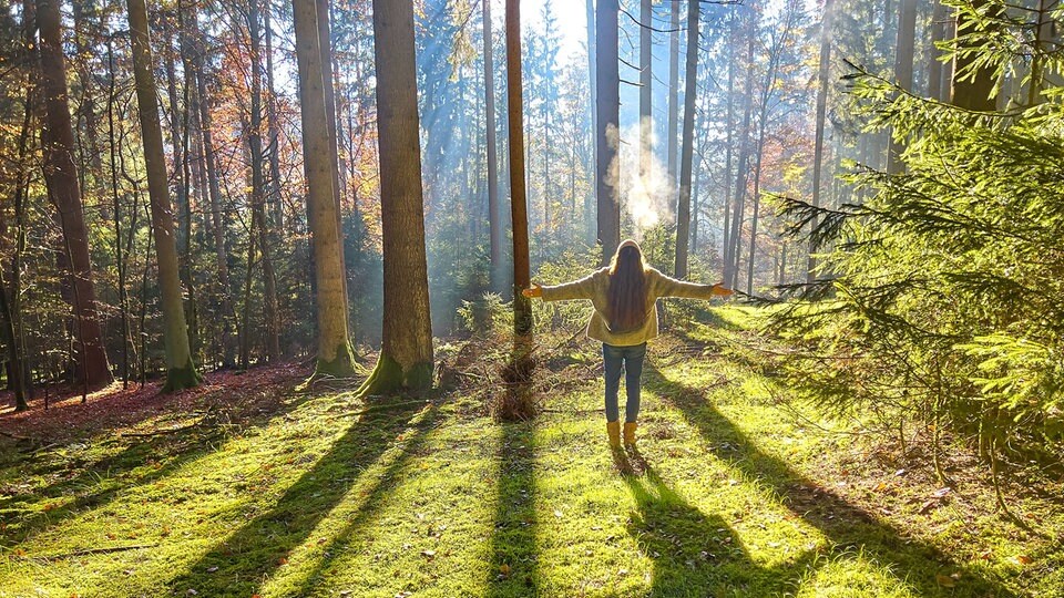 Die 5 Wichtigsten Regeln Fürs Waldbaden | MDR.DE