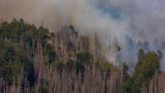 Waldbrand