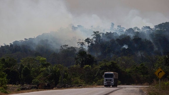 Brasilien, Waldbrände im Amazonasgebiet