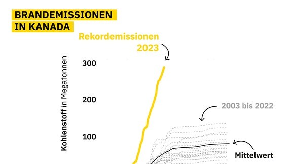 Diagramm zeigt die Kohlenstoff-Emissionen durch Brände in Kanada von 2003 bis 2023. Die aktuelle Kurve steigt bereits Mitte des Jahres steil nach oben, zwei bis dreimal so hoch wie die der anderen Jahre.