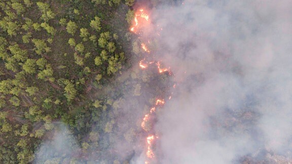 Waldbrände auf Euböa von einer Drohne aus