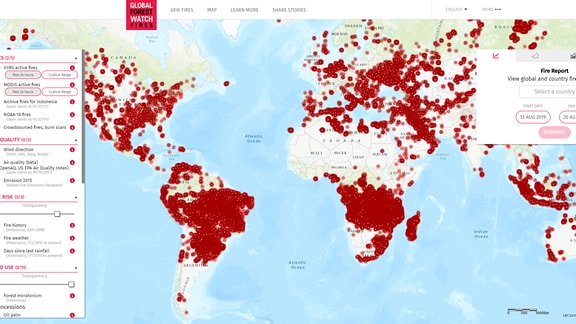 Eine schematische Weltkarte, auf der mit zahlreichen roten Punkten aktuelle Waldbrände eingezeichnet sind.