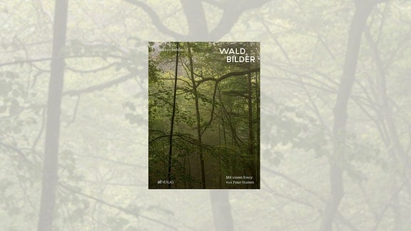 Buchcover des Buchs "Waldbilder", zu sehen sind dicht gedrängt stehende Laubbäume, wobei der Betrachter von unten hoch in das Blätterdach blickt.