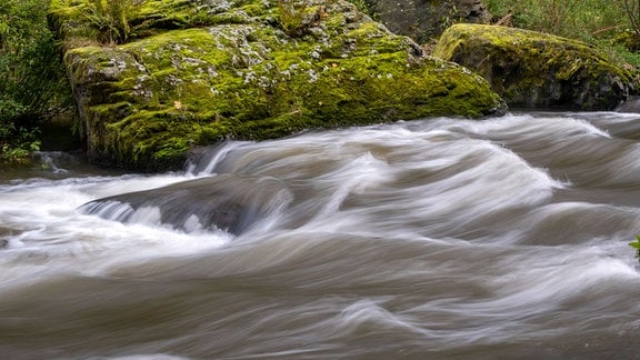 Der Fluss Weiße Elster im Vogtland, am Ufer Steine mit Moos bewachsen