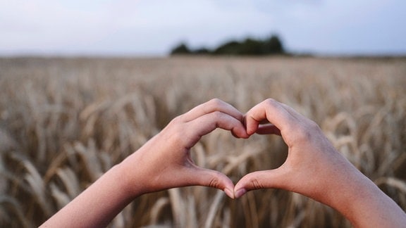 Hand eines Mädchens und eines älteren Mannes ergänzen sich zu Herzform, im Hintergrund unscharf ein Weizenfeld