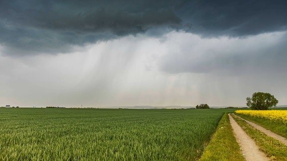 Blick über Felder zum Horizont wo es stark regnet