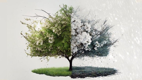 Das Bild zeigt einen Baum mit zwei Hälten, auf der einen scheint die Sonne, auf der anderen schneit es. 