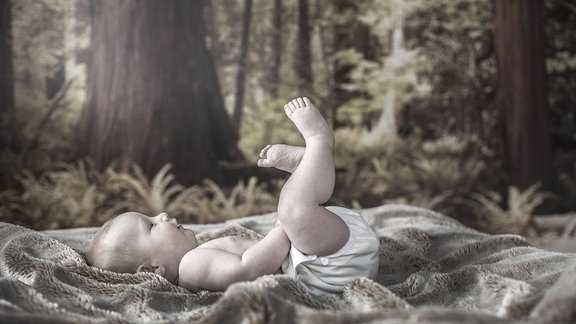 Baby in Stoffwindel vor Baumtapete