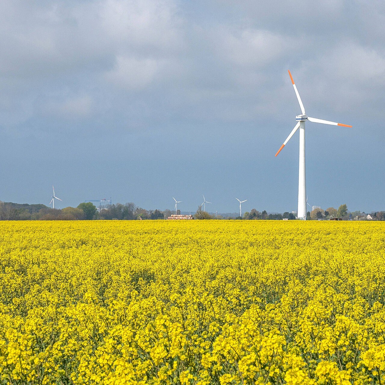 Windkraftausbau in Deutschland: Der Süden ist ein Totalausfall