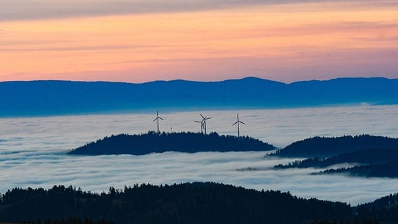 Wie auf einer Insel stehen Windräder mitten im Nebelmeer