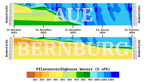Die Bodenfeuchteprofile von Aue und Bernburg im zeitlichen Verlauf vom 11. Oktober 2023 bis zum 11. Februar 2024