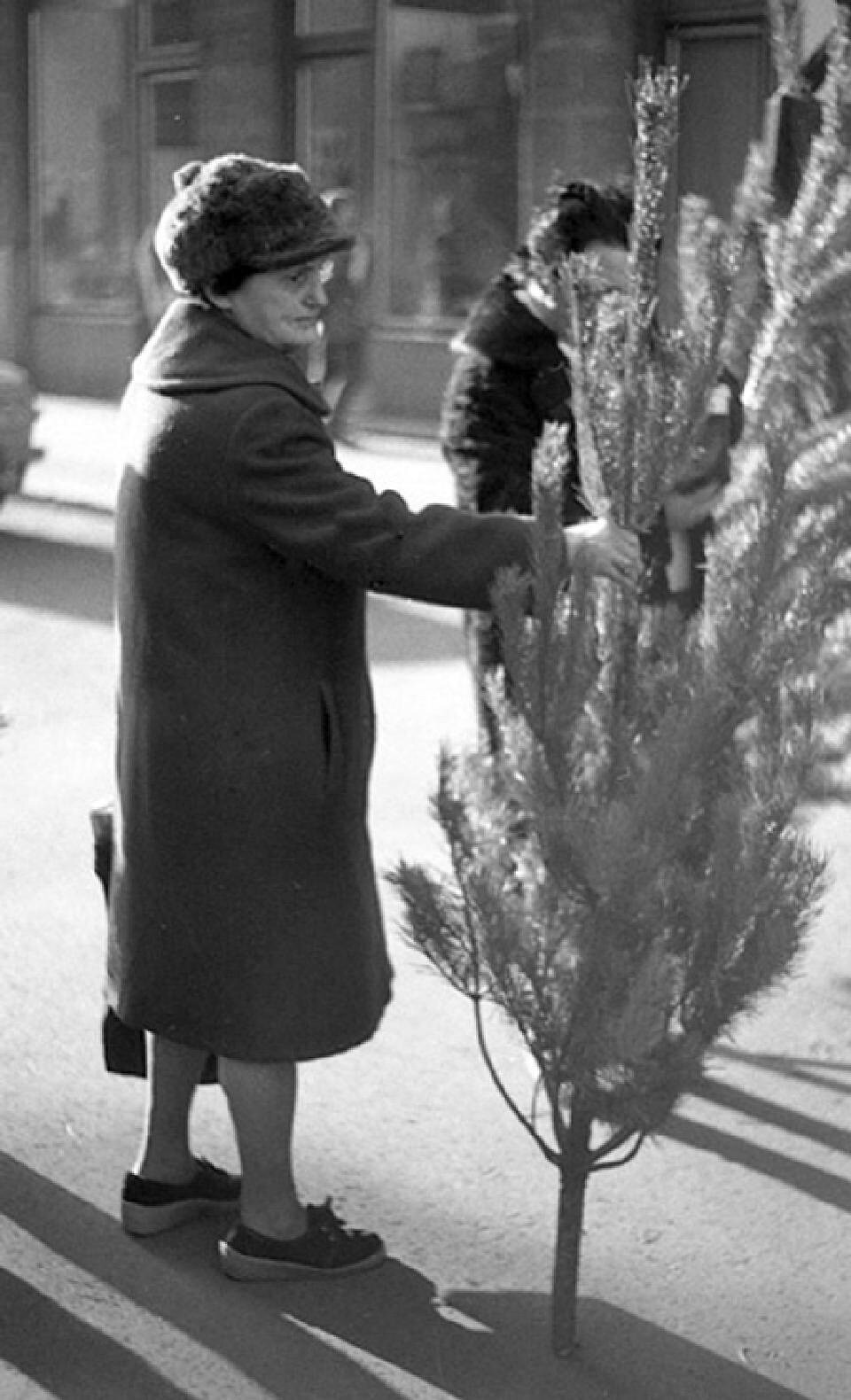 Der Baum Mediathek